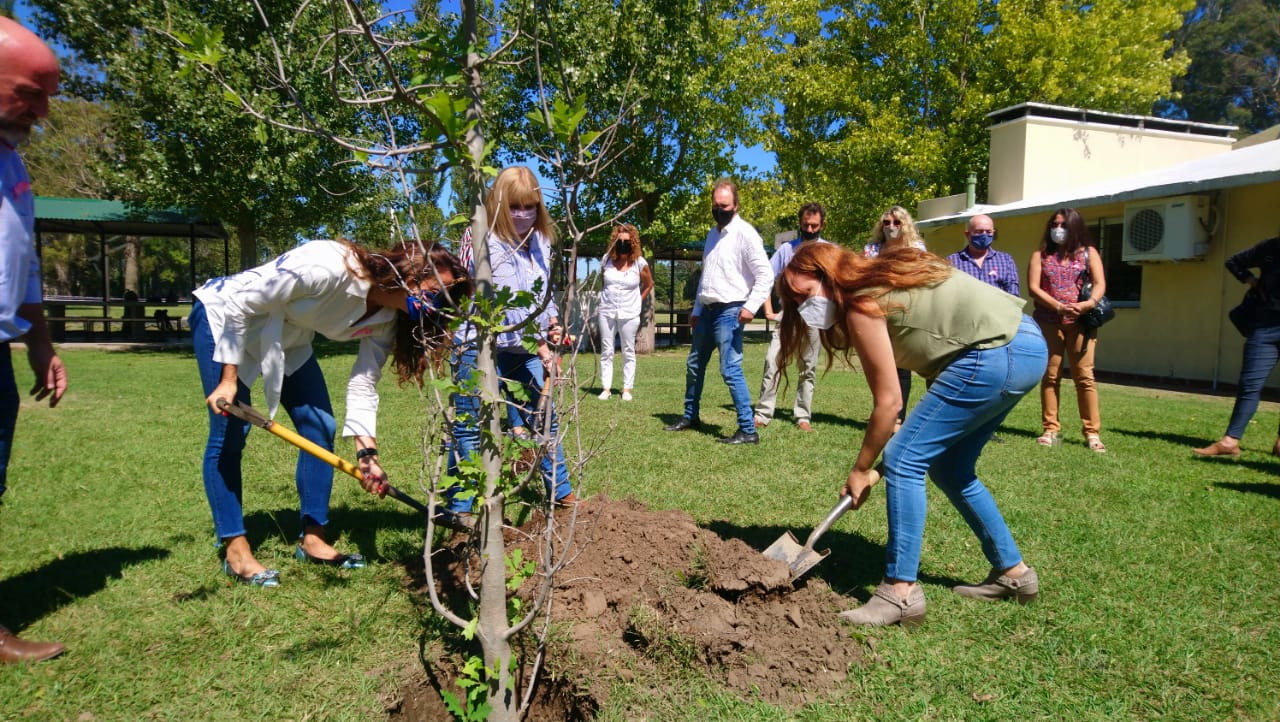 plantando2